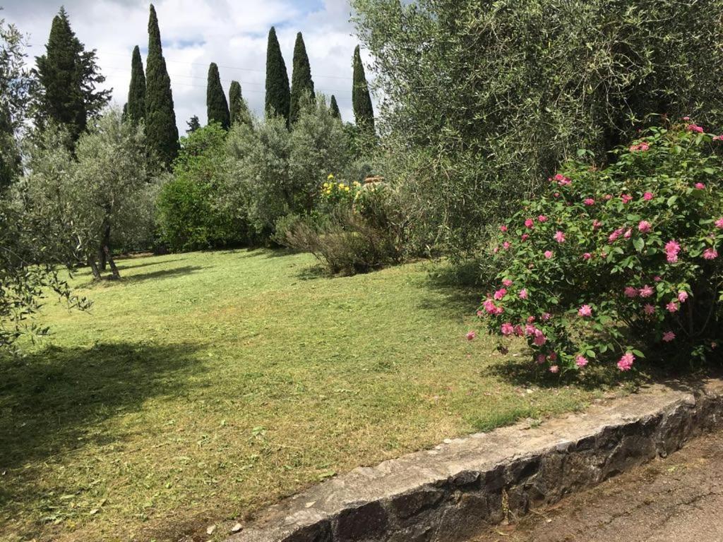 Al Canaiolo Strada in Chianti Dış mekan fotoğraf