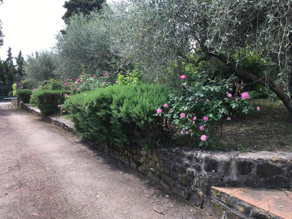 Al Canaiolo Strada in Chianti Dış mekan fotoğraf