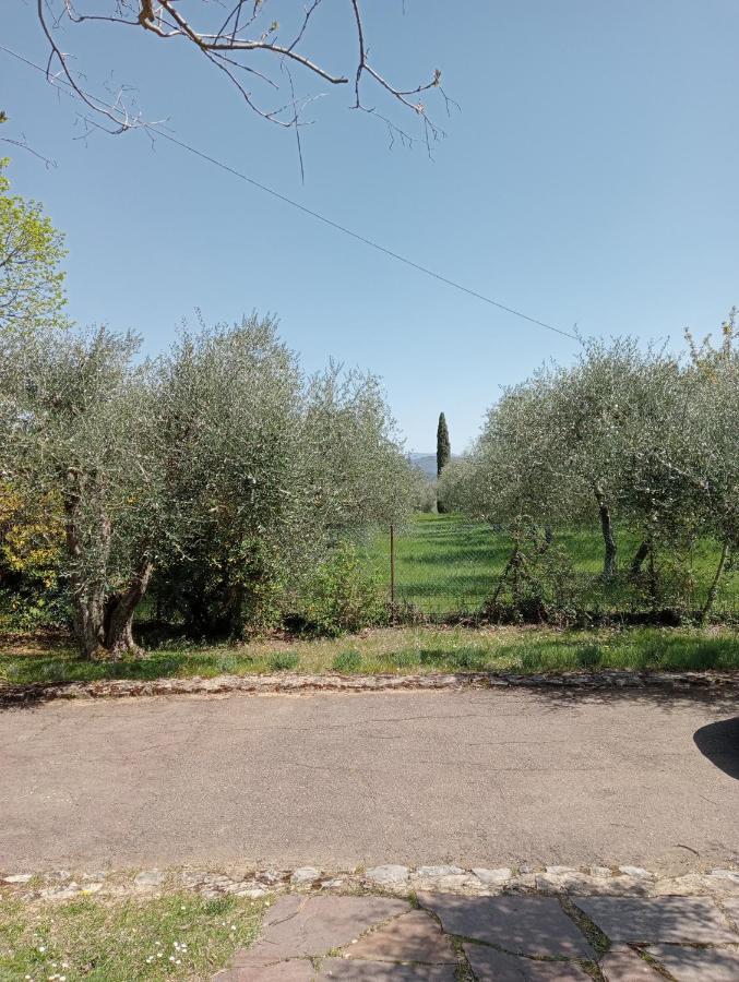Al Canaiolo Strada in Chianti Dış mekan fotoğraf